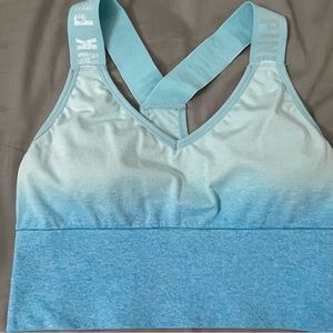 Blue Ombre VS PINK Longline Sports Bra
